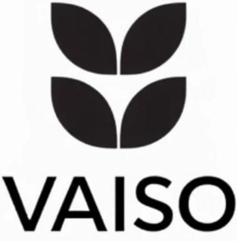 VAISO